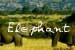 Elephant Home Page