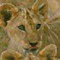 3 Cubs