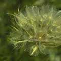 img3004.jpg - 2678 Bytes