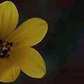 img3006.jpg - 2066 Bytes
