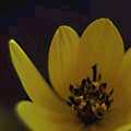 img3007.jpg - 2157 Bytes
