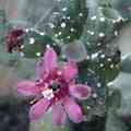 img3013.jpg - 2540 Bytes