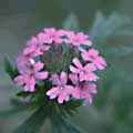img3014.jpg - 2373 Bytes