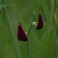 img3016.jpg - 4021 Bytes