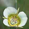 img3026.jpg - 2533 Bytes