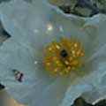 img3030.jpg - 2041 Bytes