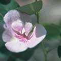 img3031.jpg - 2427 Bytes