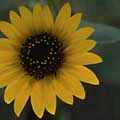 img3032.jpg - 2586 Bytes