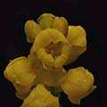 img3042.jpg - 2401 Bytes