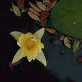 img3043.jpg - 2323 Bytes