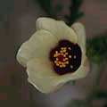 img3049.jpg - 2108 Bytes