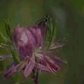 img3063.jpg - 2380 Bytes