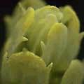 img3066.jpg - 2383 Bytes