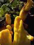 img2049.jpg - 2413 Bytes