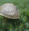 img2062.jpg - 2975 Bytes