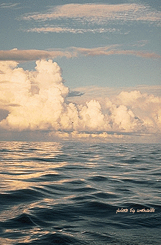 Summer at sea - 64839 Bytes